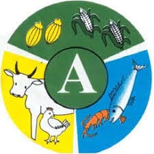 Ministry of Food & Agriculture (MoFA)