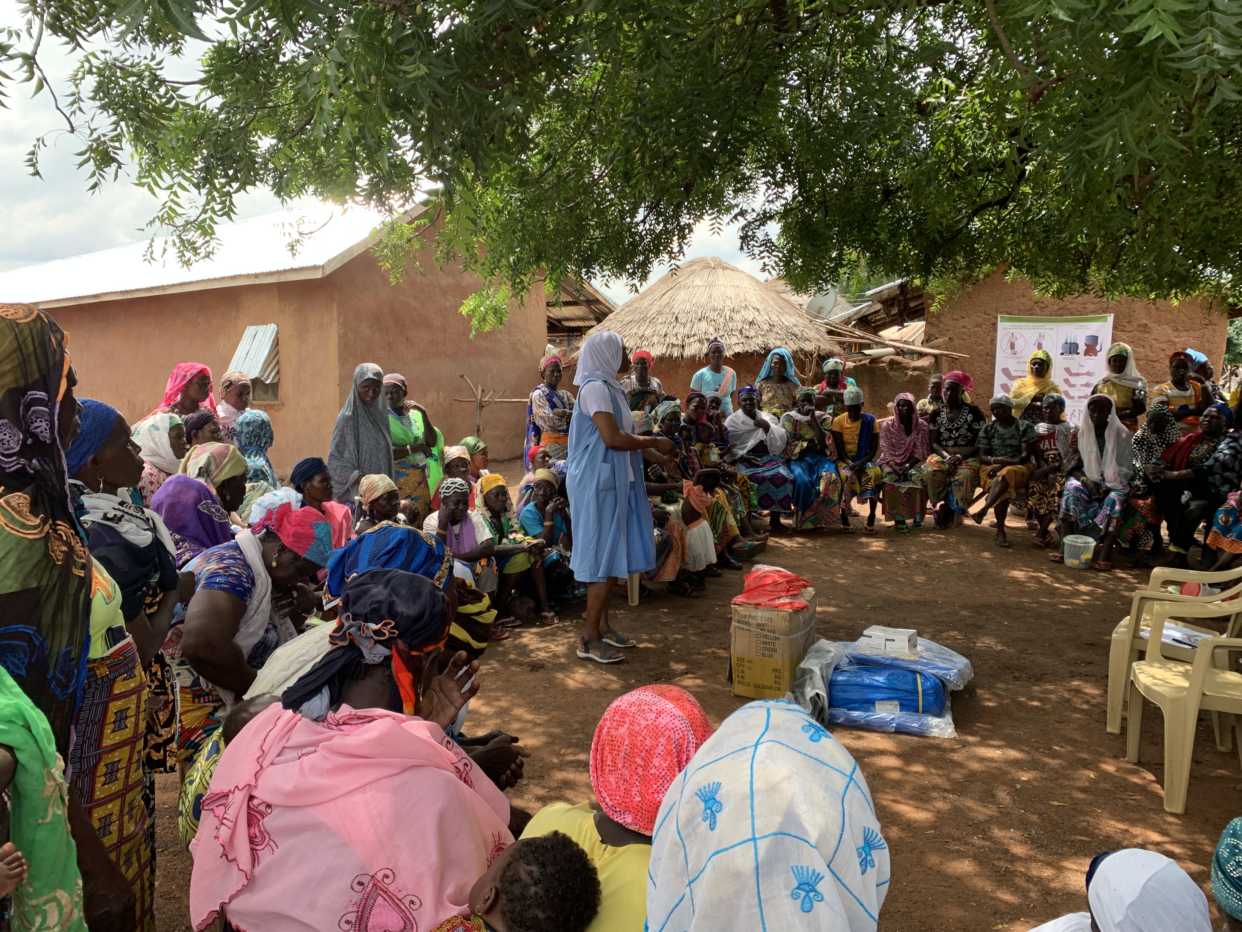 Women Shea Value Chain