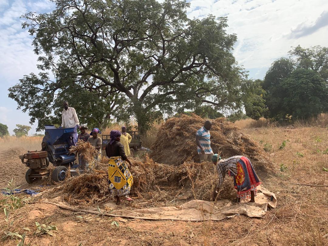 Sustainable Agriculture Production